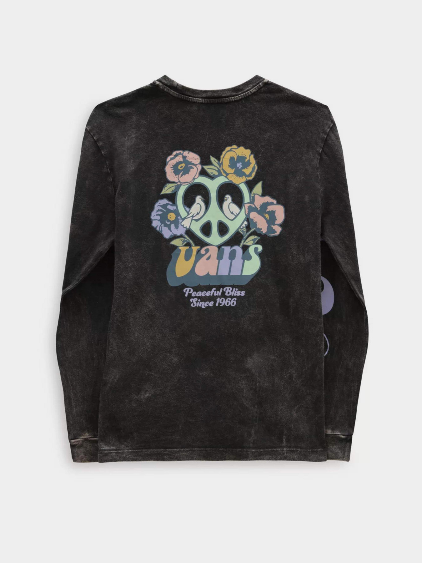 Лонгслив Vans BLISS 66 BFF модель VN000AD1BLK1 Фото