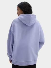 Худі Vans Flying V модель VN0A7RMDC8B1 Фото