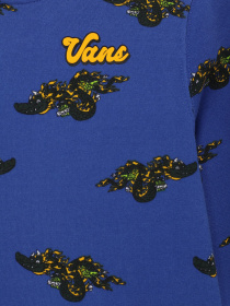 Худи Vans Gnardragon Po модель VN00087N7WM1 Фото