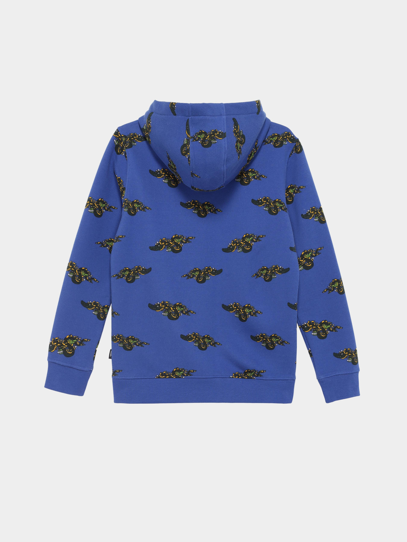 Худи Vans Gnardragon Po модель VN00087N7WM1 Худи Vans Gnardragon Po модель VN00087N7WM1 Фото