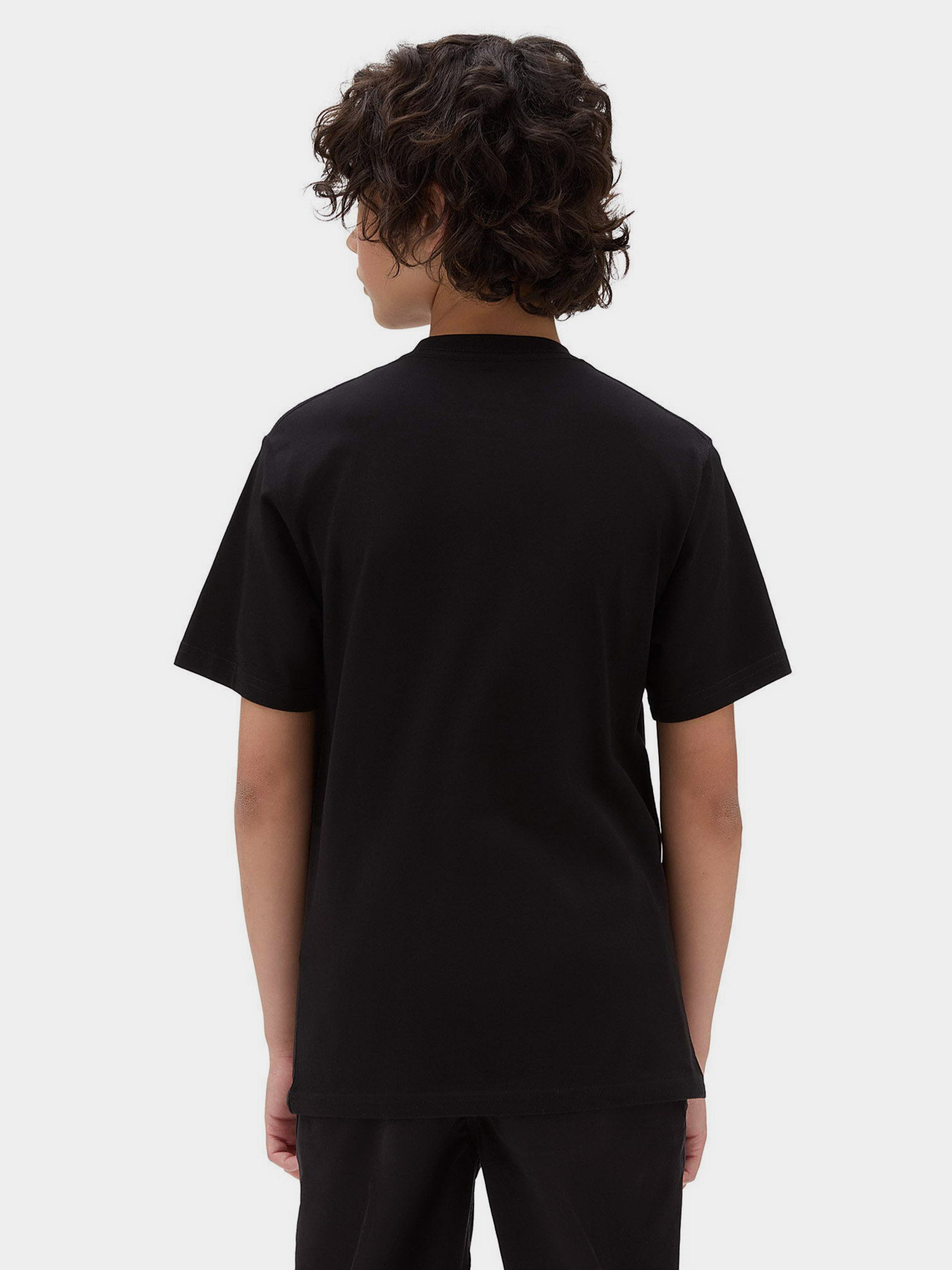 Футболка Vans Neon Flames модель VN00088MBLK1 Фото