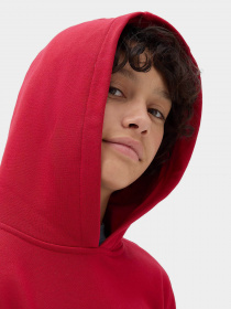 Худи Vans Hole Shot модель VN00087W14A1 Фото