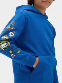 Худи Vans Space Junk модель VN0008BE7WM1 Фото