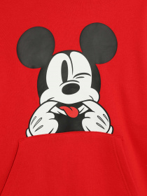 Худи Vans x Disney Funhouse 100 модель VN000G02IZQ1 Фото