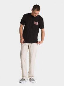 Футболка Vans Pasa модель VN000F3XBLK1 Фото