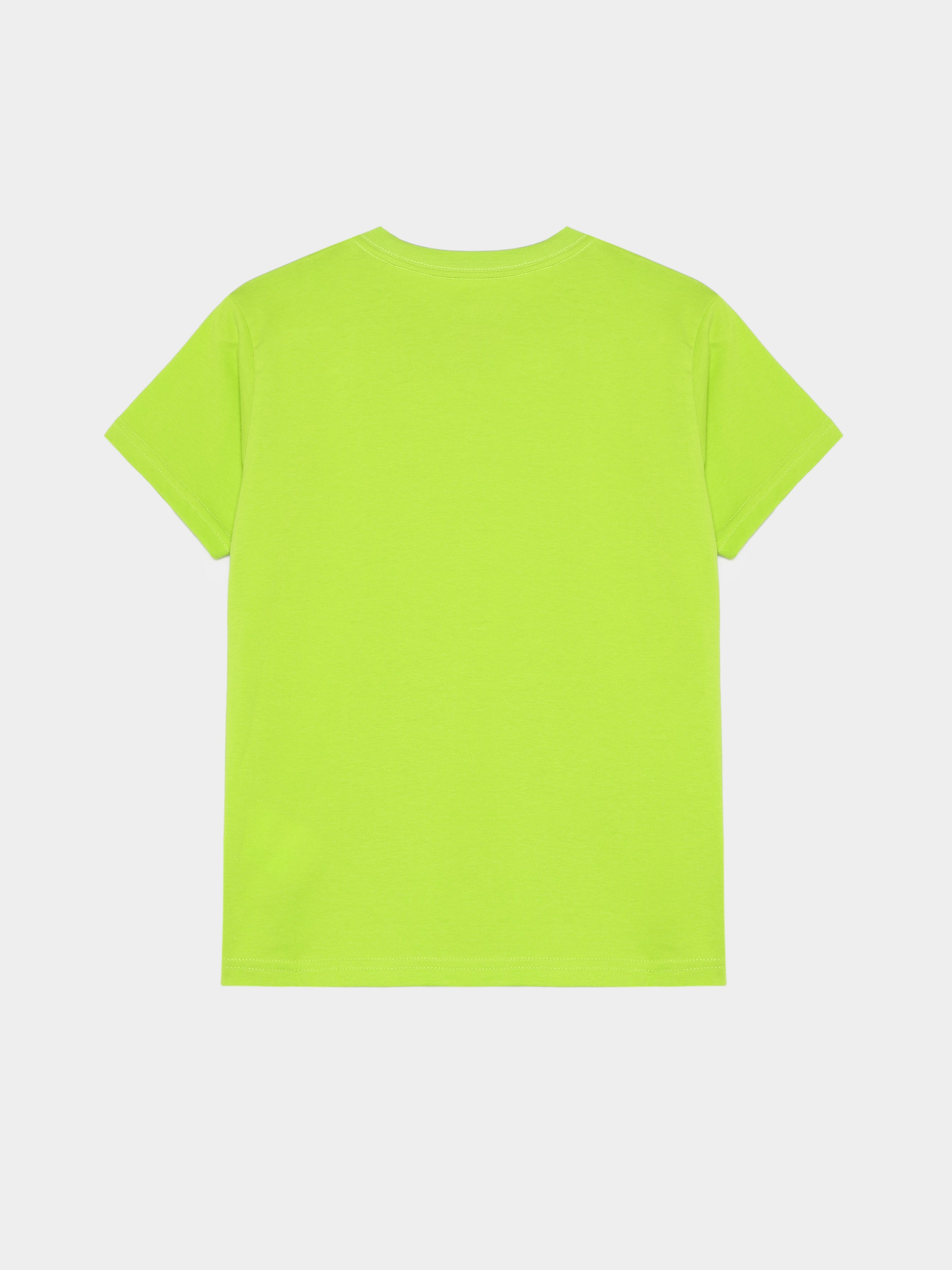 Футболка Vans Classic модель VN0A3W765891 Фото