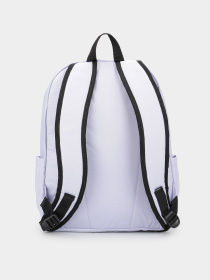 Повседневный рюкзак Vans Old Skool 22L модель VN000H4WCR21 Фото