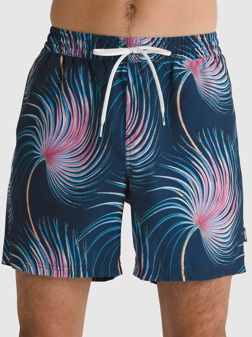Шорты Vans Primary Print Elastic 17 Boardshorts модель VN0008KUCZO1 Фото
