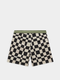Повседневные шорты Vans The Daily Check 17 модель VN0007XSZO21 Повседневные шорты Vans The Daily Check 17 модель VN0007XSZO21 Фото
