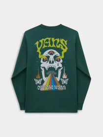 Лонгслив Vans Skull Saucer Ls модель VN000G4CBDX1 Фото