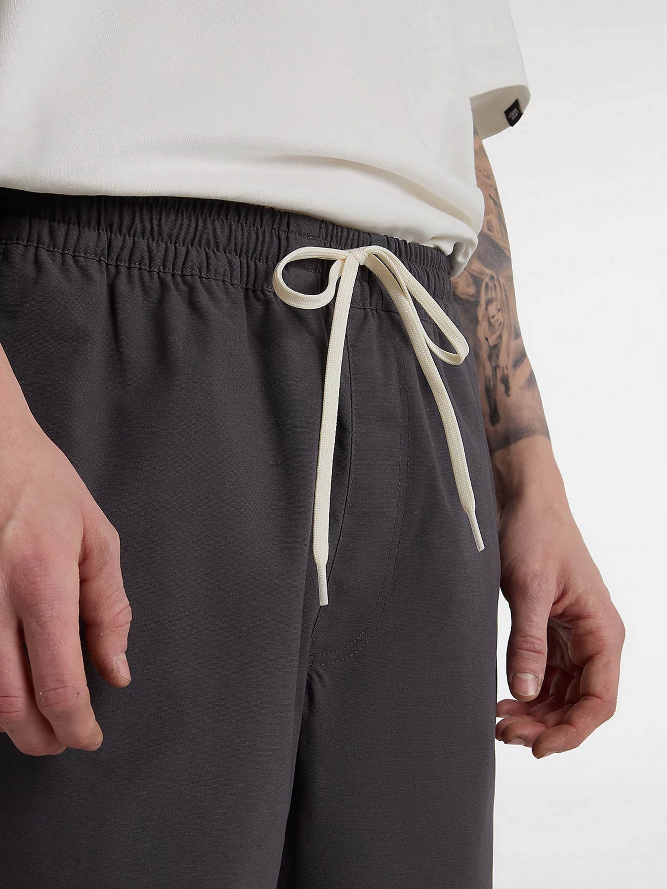 Брюки повседневные Vans Range модель VN000G6C1O71 Фото