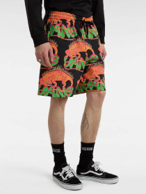 Шорты Vans Chameleon Loose Fleece модель VN000G72BLK1 Фото