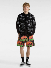 Повседневные шорты Vans Chameleon Loose Fleece модель VN000G72BLK1 Фото