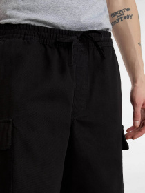 Повседневные шорты Vans Range Loose модель VN000G6SBLK1 Фото