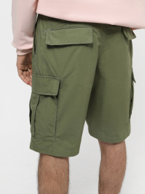 Повседневные шорты Vans Service модель VN0A5FL7AMB1 Фото