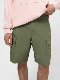 Повседневные шорты Vans Service модель VN0A5FL7AMB1 Фото