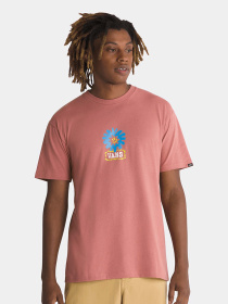 Футболка Vans Dual Bloom Ss модель VN000G48CHO1 Фото