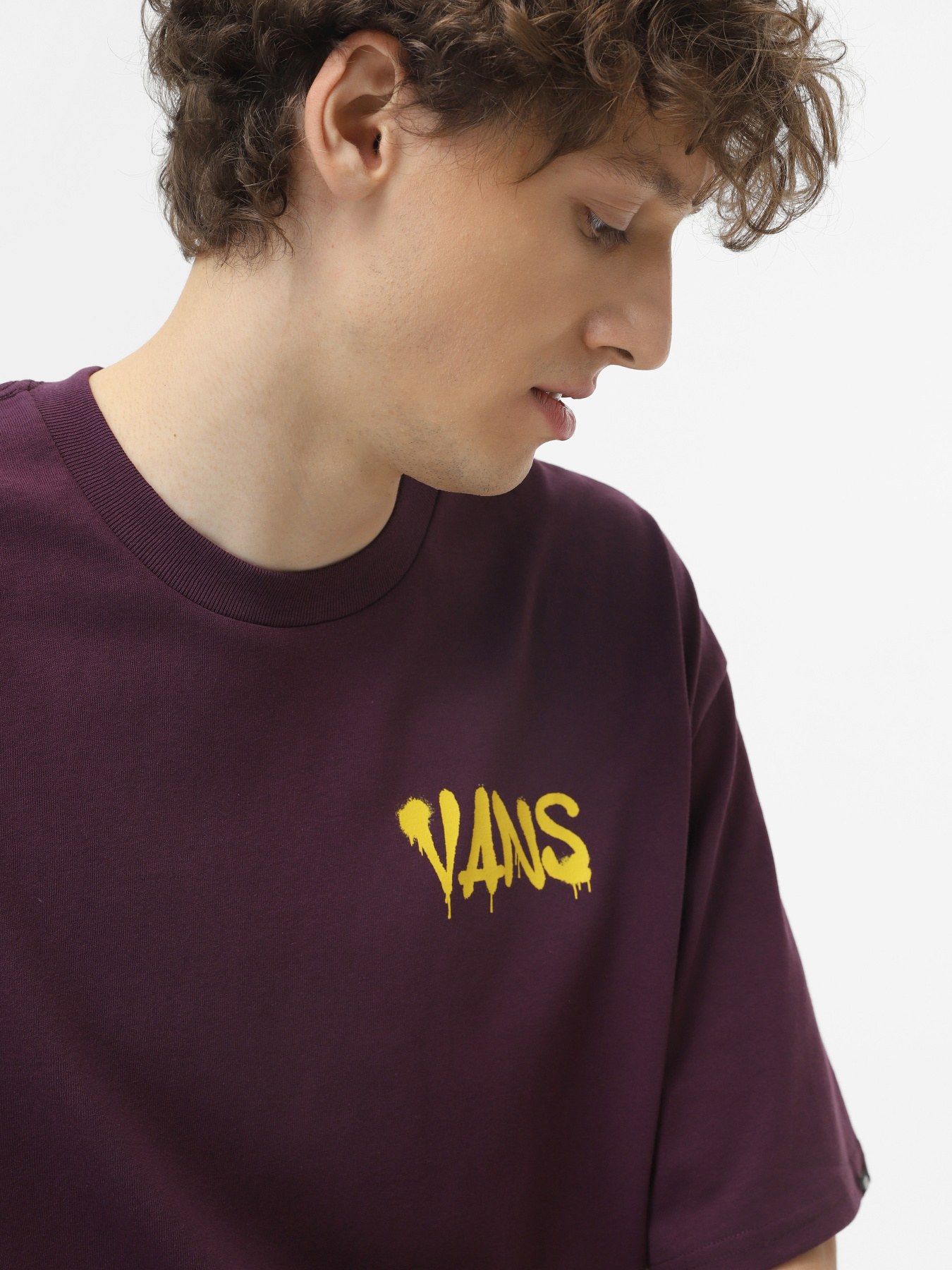 Футболка Vans Factory Spray модель VN000K74CHJ1 Фото