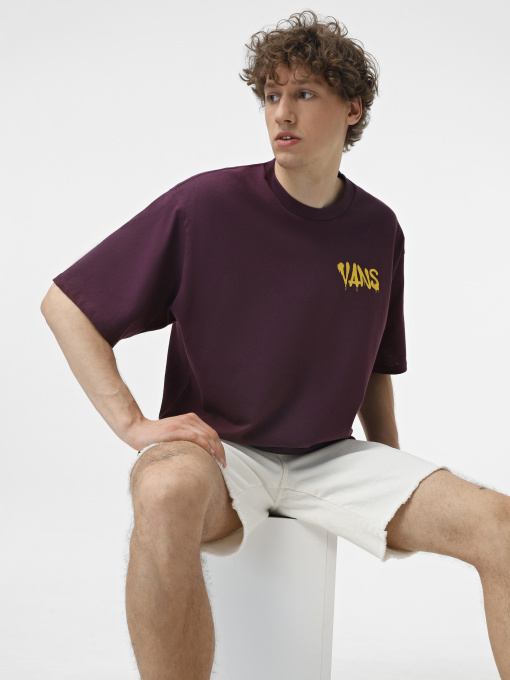 Футболка Vans Factory Spray модель VN000K74CHJ1 Фото