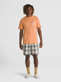 Футболка Vans Holmdel модель VN000G5QCR51 Фото