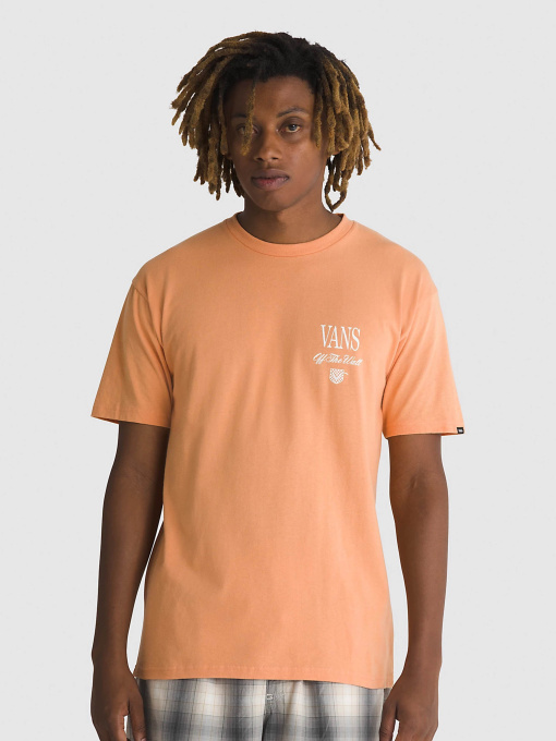 Футболка Vans Holmdel модель VN000G5QCR51 Фото