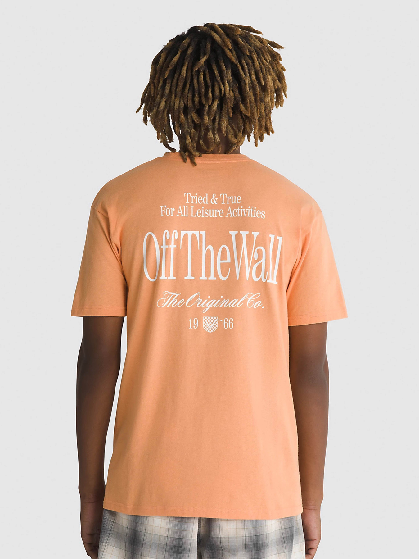 Футболка Vans Holmdel модель VN000G5QCR51 Фото