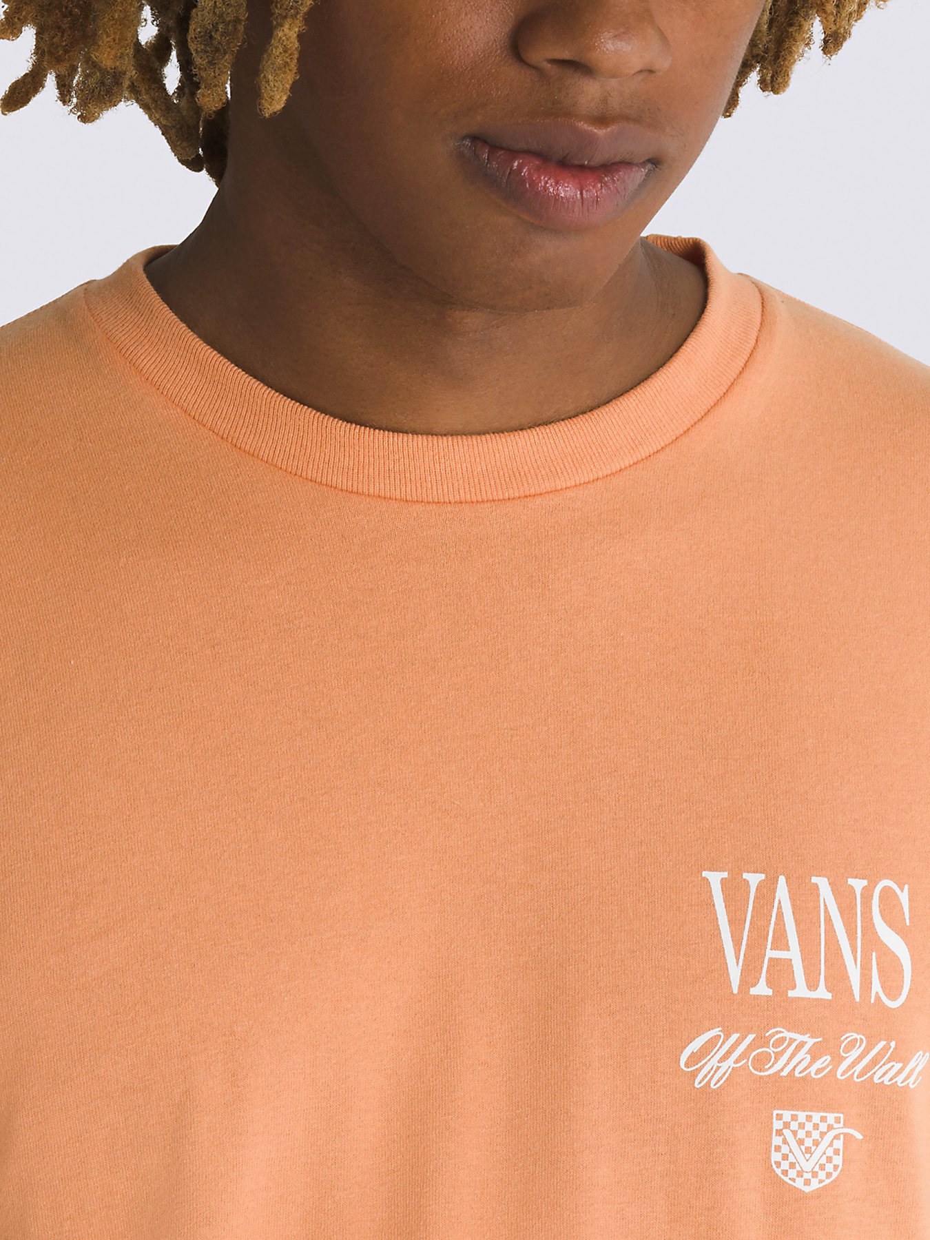 Футболка Vans Holmdel модель VN000G5QCR51 Фото