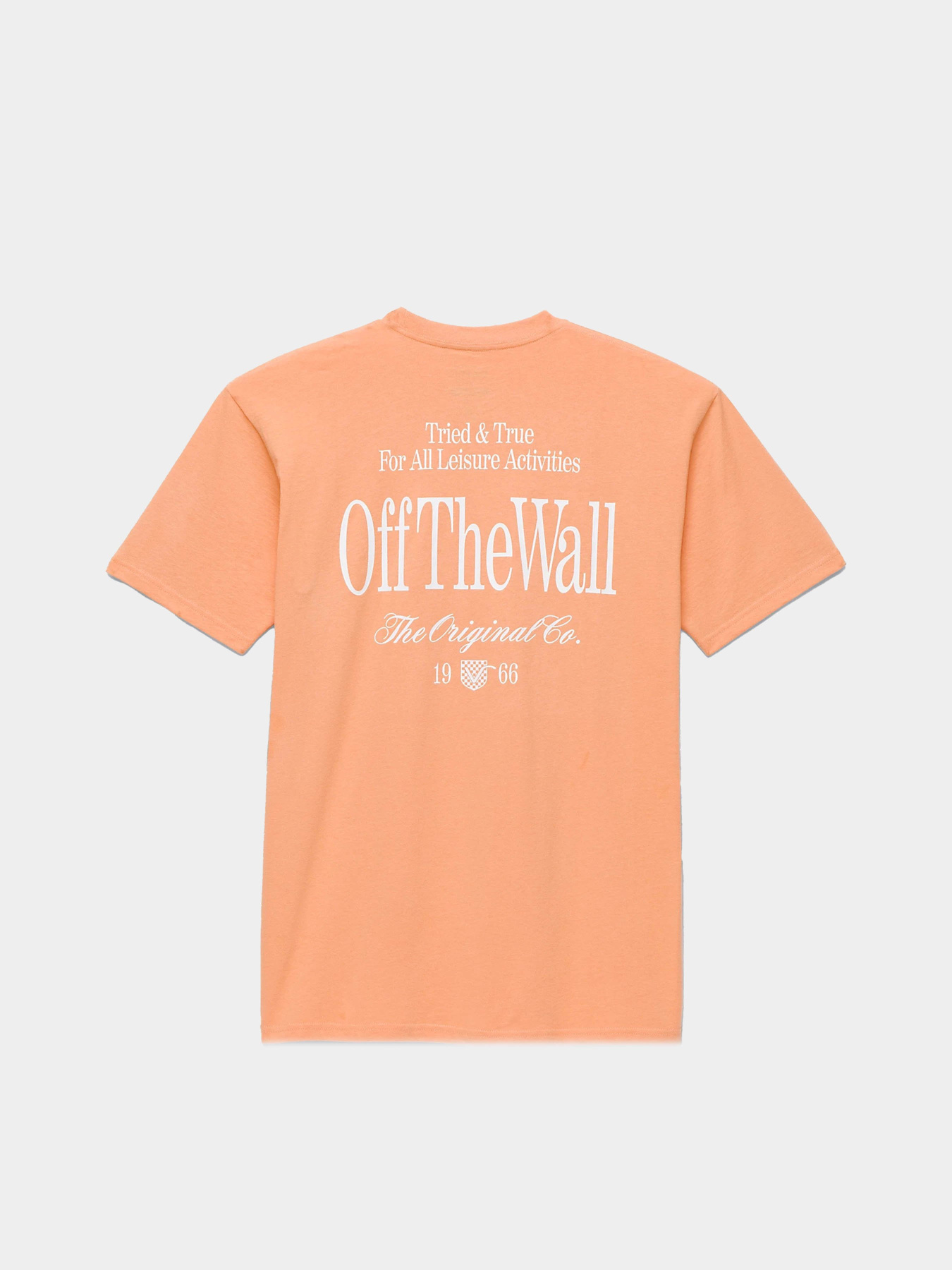 Футболка Vans Holmdel модель VN000G5QCR51 Фото