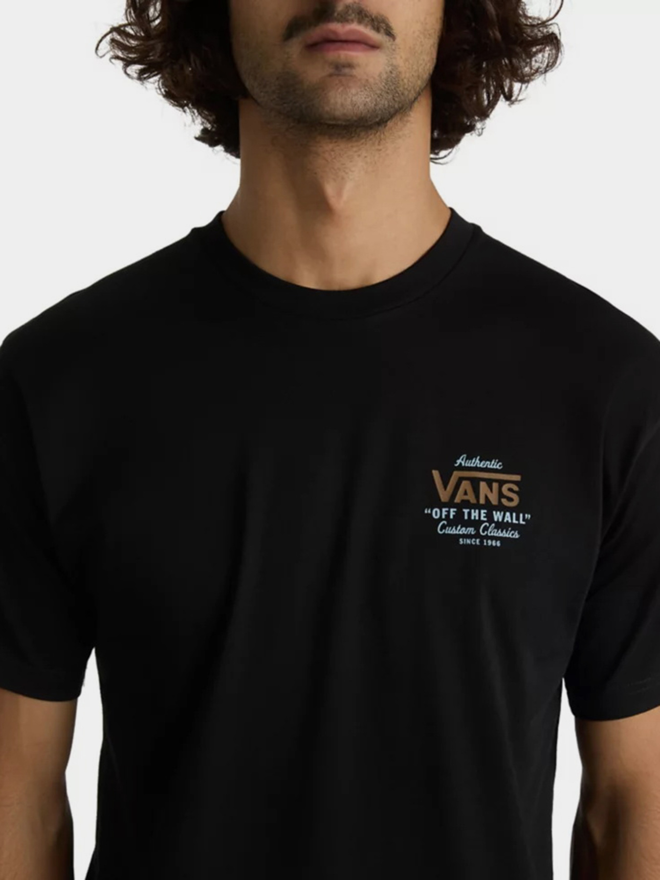 Футболка Vans Mn Holder St Classic модель VN0A3HZFCO41 Фото