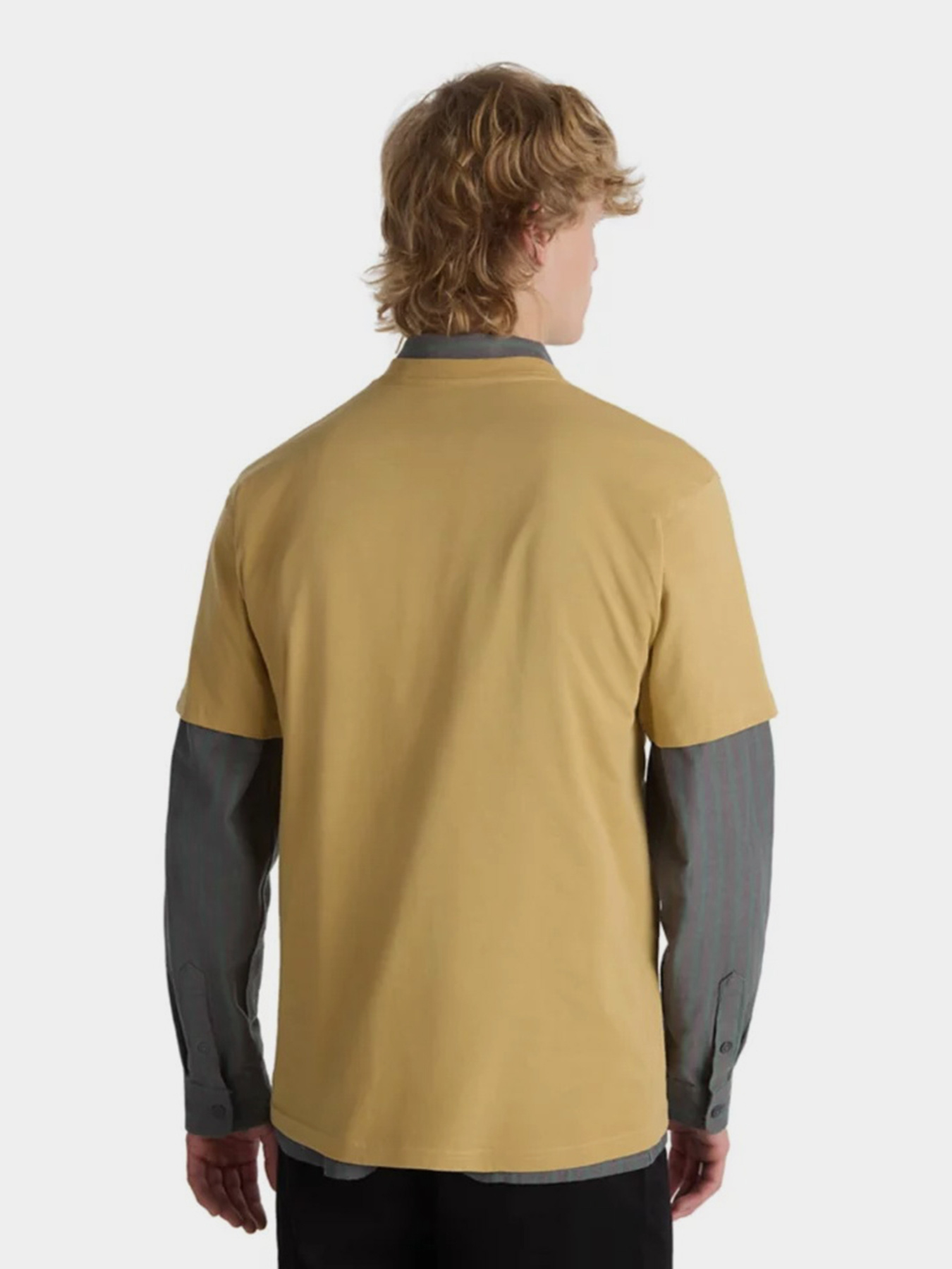 Футболка Vans Arched Ss модель VN000G475QJ1 Фото