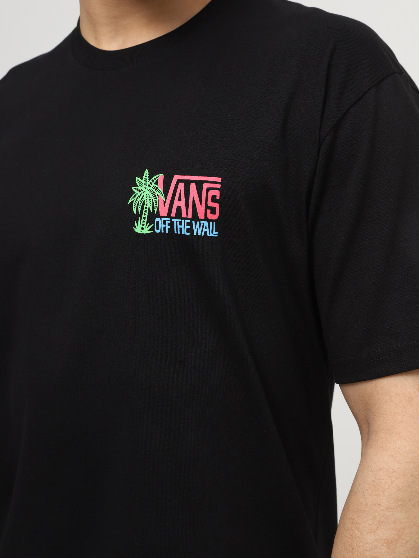 Футболка Vans Palm Lines модель VN000G58BLK1 Футболка Vans Palm Lines модель VN000G58BLK1 Фото