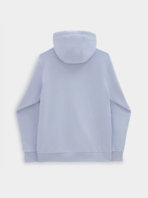 Худі Vans Essential Relaxed модель VN000H8ZCR21 Фото