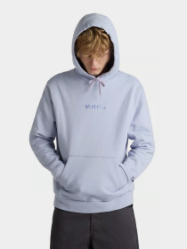 Худи и свитшоты Vans Essential Relaxed модель VN000H8ZCR21 Фото
