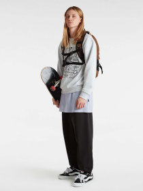 Світшот Vans Skool Doodle модель VN000JDT1QI1 Фото