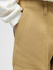 Карго Vans Arroyo Wide Leg Cargo модель VN000F7M5QJ1 Фото