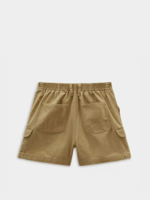 Шорты Vans Sidewalk модель VN000GJC5QJ1 Фото