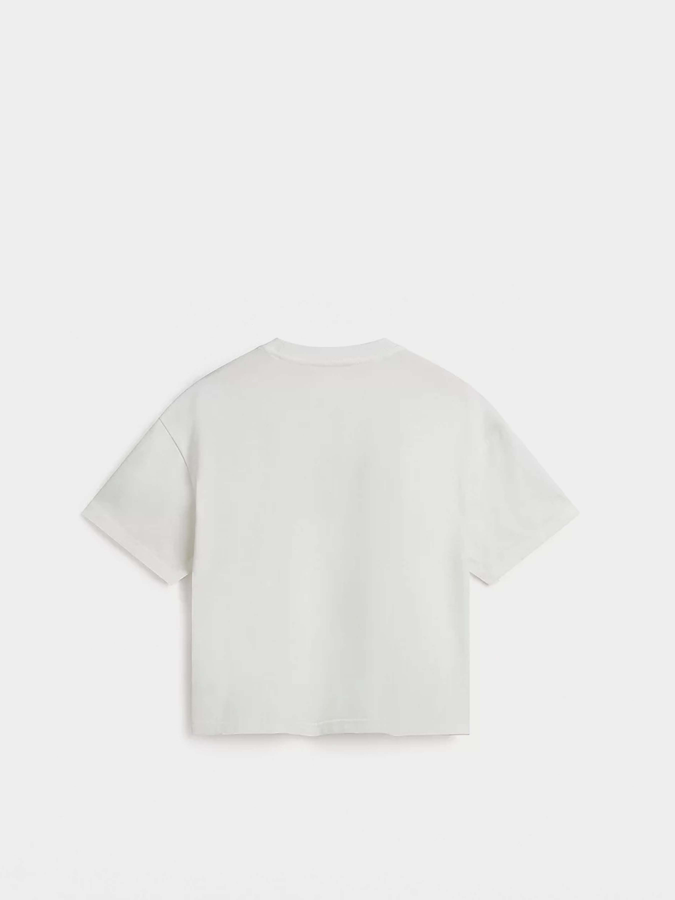 Футболка Vans Fleurs OS Crop модель VN000JG7FS81 Фото