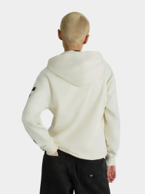 Худі Vans Fleurs Bff модель VN000JG9FS81 Фото