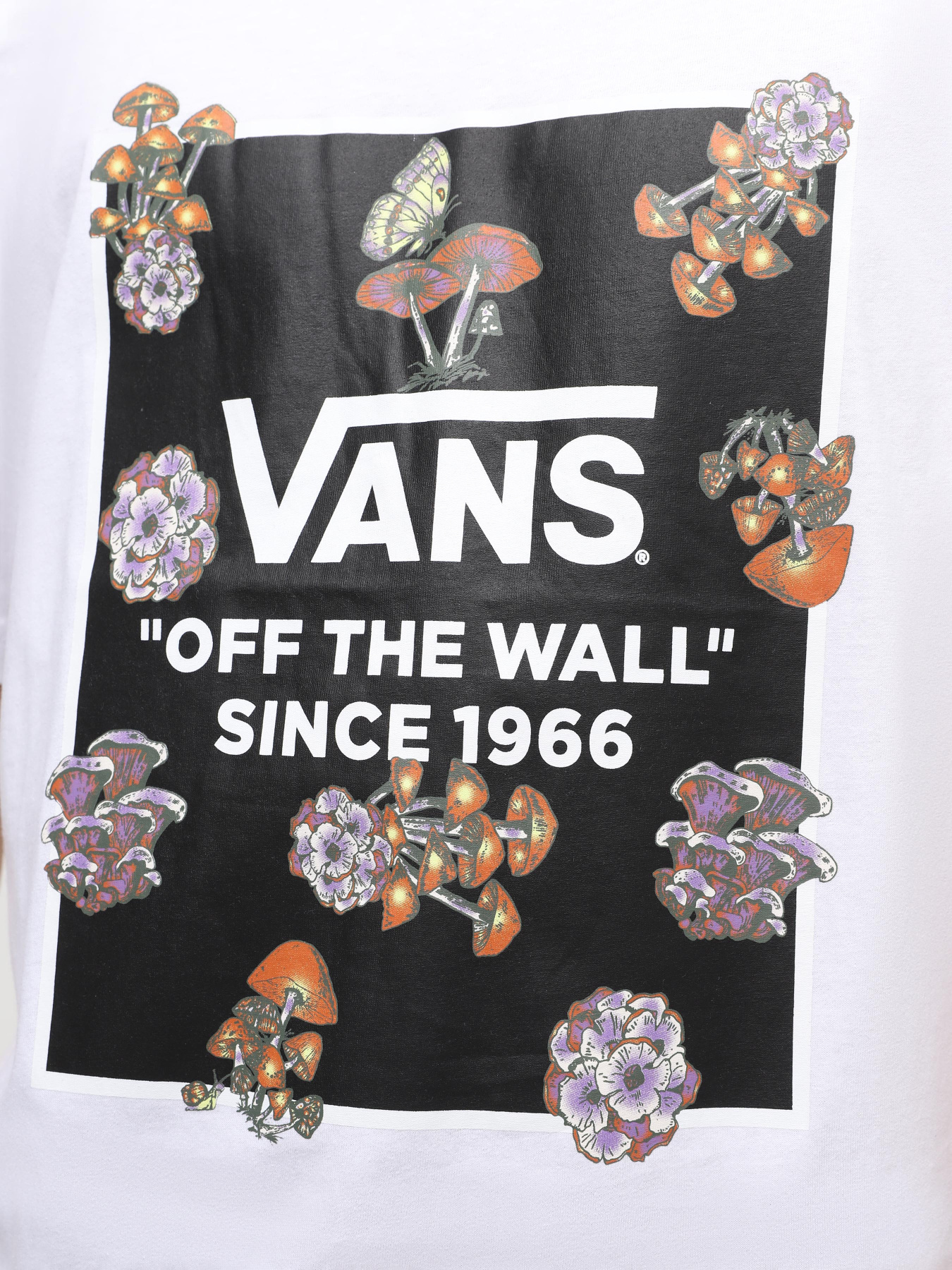 Футболка Vans Fungi Box модель VN000FJGWHT1 Фото