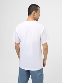 Футболка Vans Fungi Box модель VN000FJGWHT1 Фото