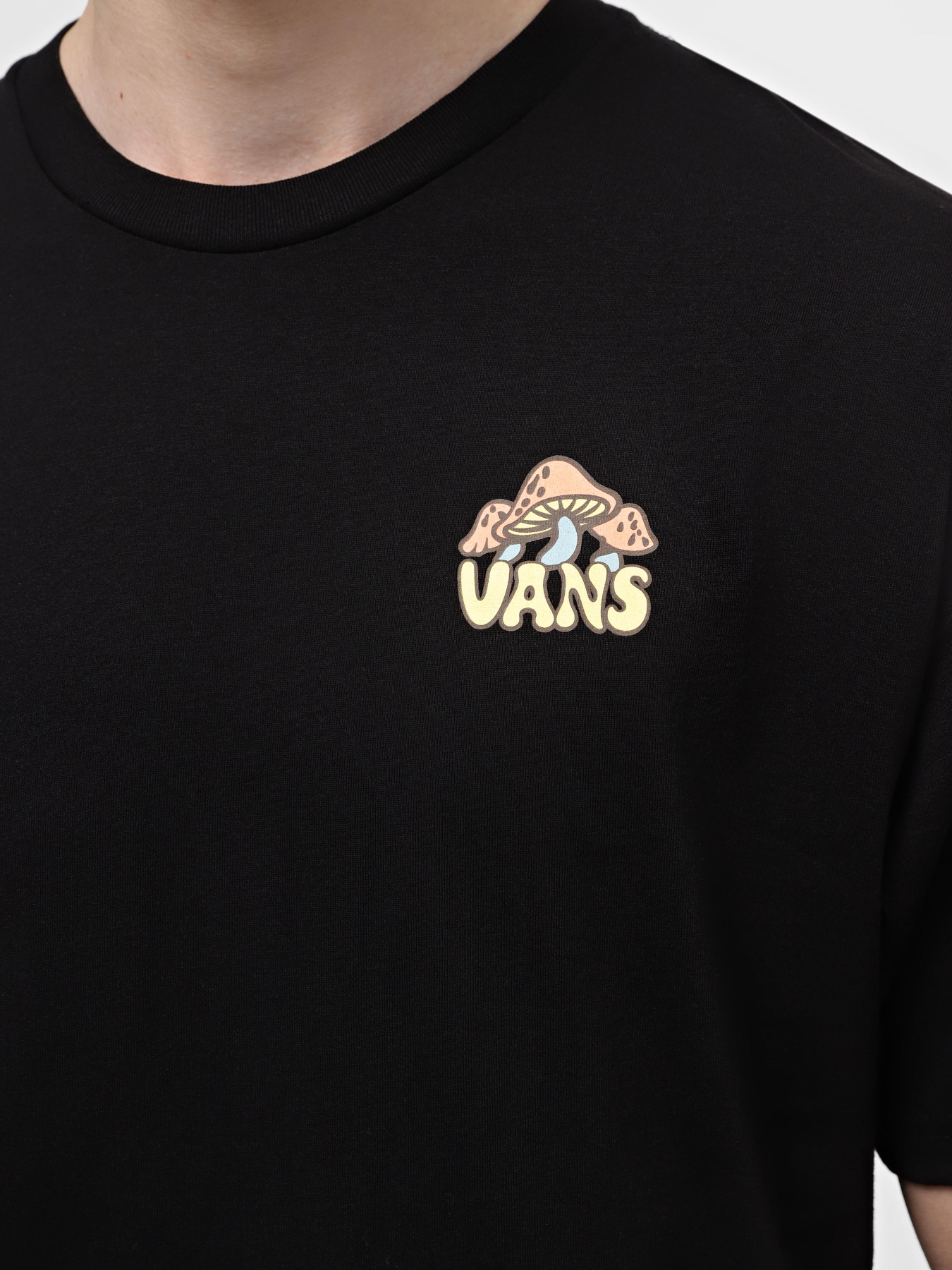 Футболка Vans Mushruum модель VN000FKNBLK1 Фото