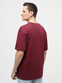 Футболка Vans Round Off модель VN000FJSBRG1 Фото