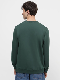 Свитшот Vans Classic Crew-B модель VN0A7Y3UC411 Фото