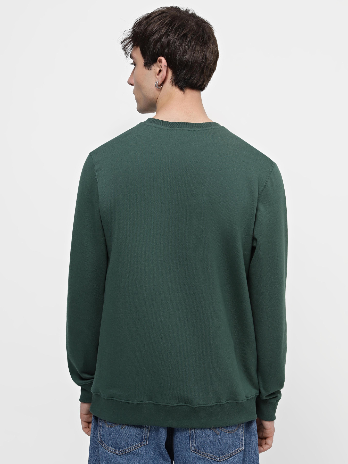 Свитшот Vans Classic Crew-B модель VN0A7Y3UC411 Фото