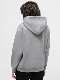 Худі Vans Watr Colrd Fleece-B модель VN000FRWGRH1 Фото