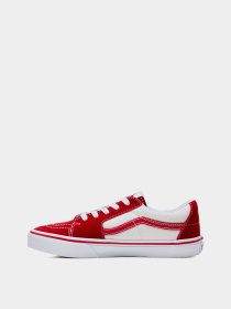 Кеды низкие Vans SK8-Low модель VN0A5EE4CIS1 Фото