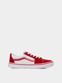 Кеди низькі Vans SK8-Low модель VN0A5EE4CIS1 Фото