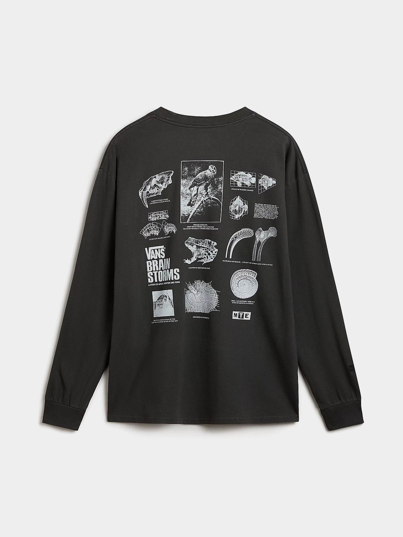 Лонгслив Vans Mte Brain Storms Study Ls модель VN000JQSBLK1 Фото