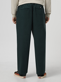 Штани повсякденні Vans Range Relaxed Elastic модель VN0A5FJJ2LN1 Фото