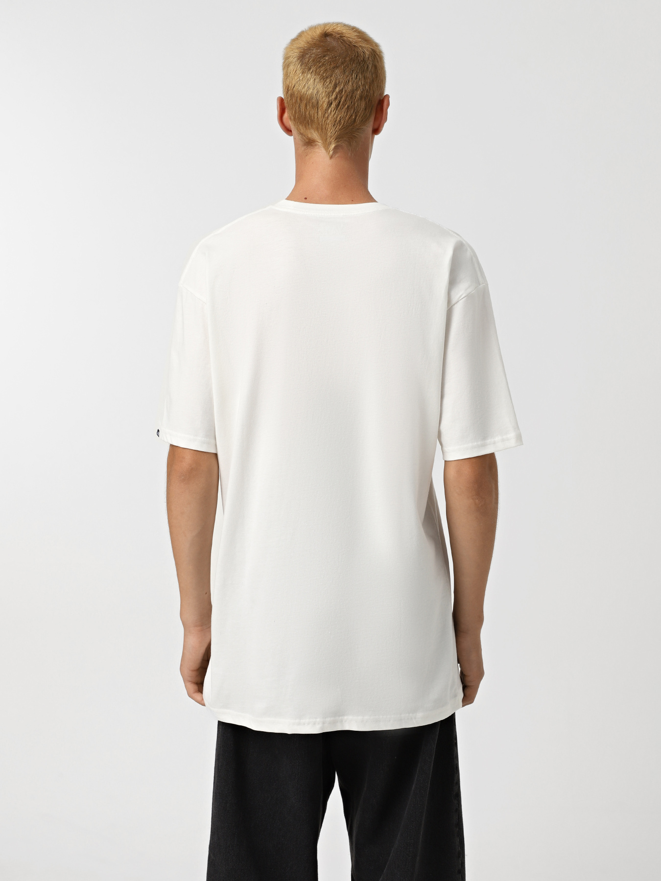 Футболка Vans Cluster 66 Ss модель VN000HFQFS81 Фото